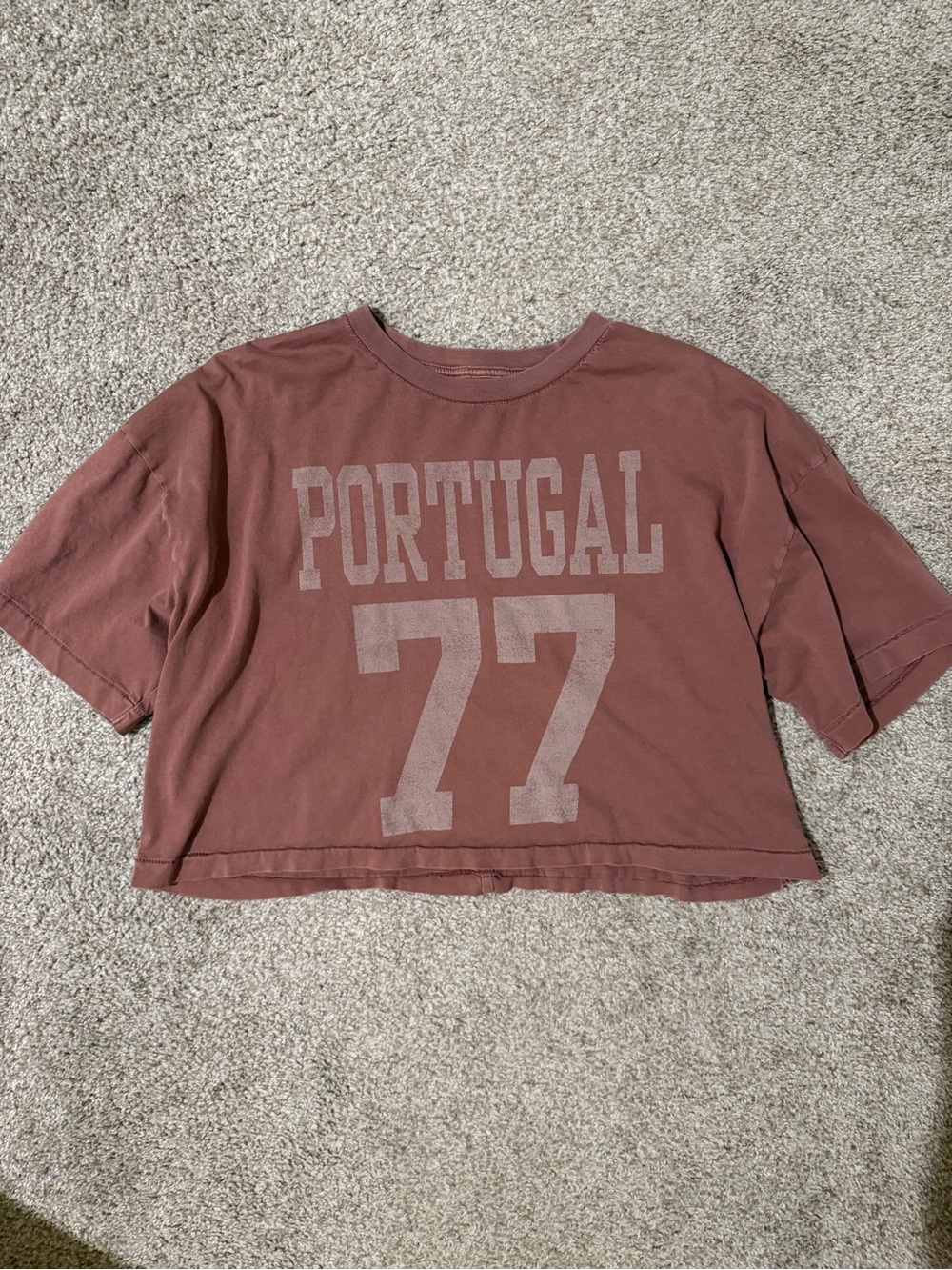 American Eagle Outfitters Portugal 77 Cropped Tee in Mauve
